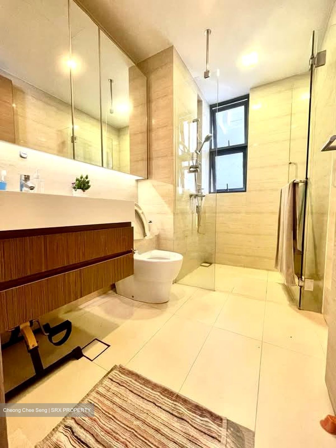 The Palette (D18), Condominium #546630421